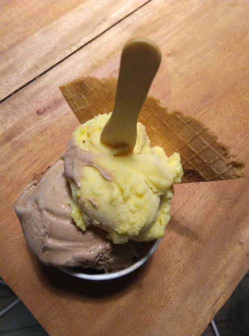 bvgil gelato scoop